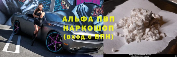 тгк Богданович