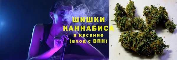 тгк Богданович