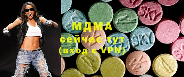 индика Бронницы