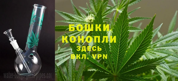 наркотики Бородино