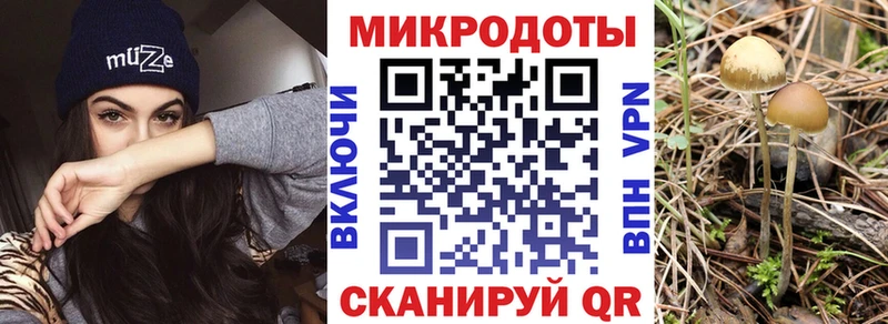 маркетплейс наркотические препараты  что такое наркотик  mega ONION  Духовщина  Псилоцибиновые грибы Psilocybine cubensis 