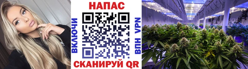 Бошки Шишки ГИДРОПОН Духовщина
